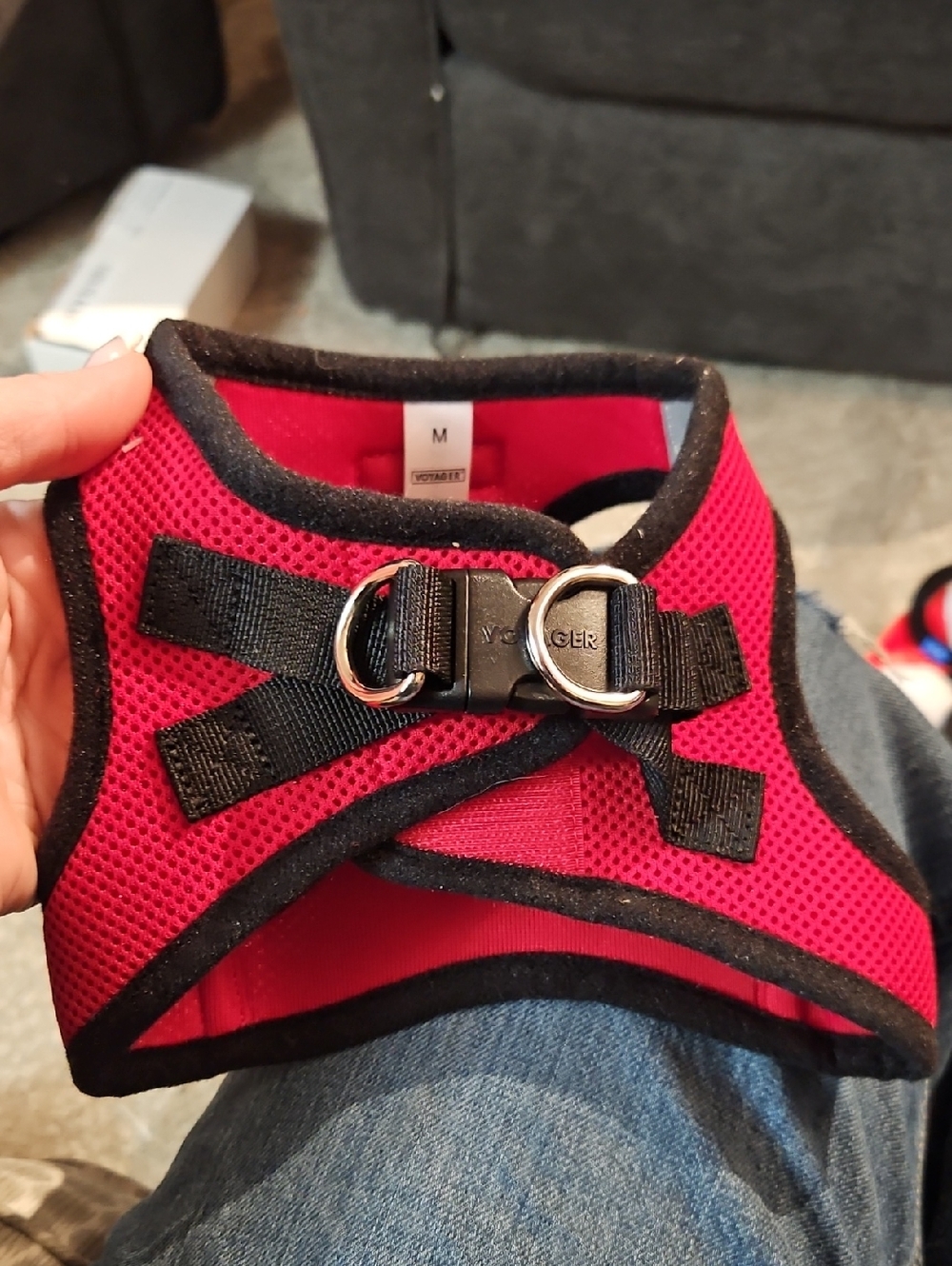 Red Mesh Dog Harness with Black Trim